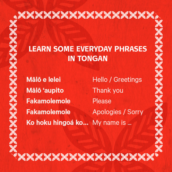 Tonga2025 everyday phrases 1080x1080px