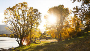 COT scenic 018