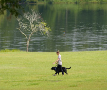 Walking pets near water Florida Fish and Wildlife CC BY NC ND 2.0