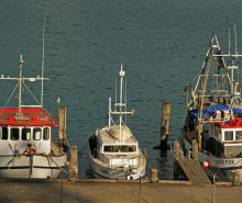 Fishing boats quayside Bernard Spragg Flickr public domain
