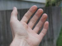 Hand Mattias public domain