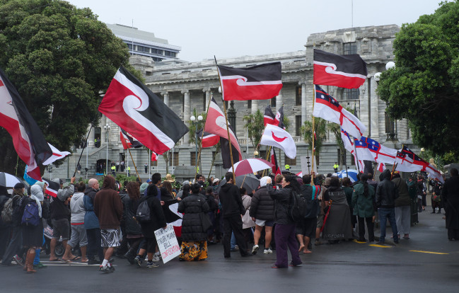 Hikoi arrives at Parliament 22nd March 2011 Lance Andrewes CC BY NC ND 2.0