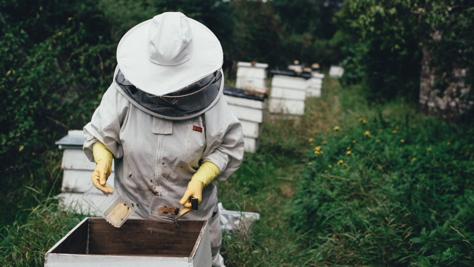 apiary 1866740