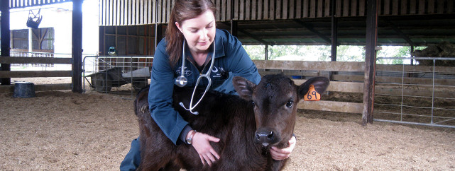 1282x484 Certificate in Animal Technology Level 5 Rural Animal Technician