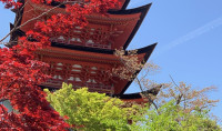 2 JapanTrip 2