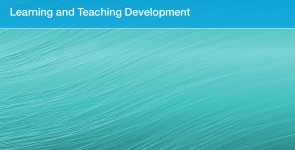 Learning and Teaching Development MT