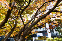 Dunedin Campus Autumn 2024 5