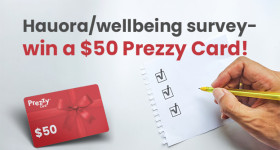Hauora wellbeing survey image v2