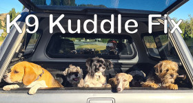 K9 Kuddle