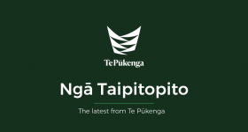 Nga Taipitopito Header Tuhono