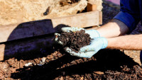 Popopo Wormporium Sustainability 210422 007