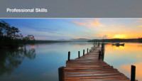 Professional Skills 1246x710Stress Management FitMaxWzM1MiwyNjRd v2
