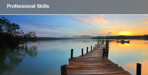 Professional Skills 1246x710 Career Planning