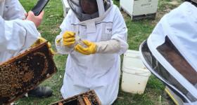 Students in Mosgiel apiary