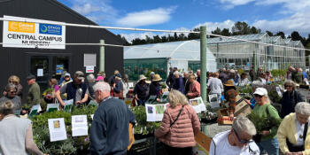T Central Plant Sale Oct 2025