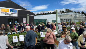 T Central Plant Sale Oct 2025