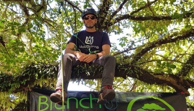 T NZ Arboriculture award