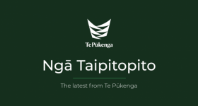 Te Pukenga Header for Nga Taipitopito FillWzYyMywzNTVd