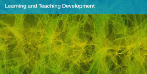 Learning and Teaching Development COER