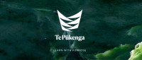 te pukenga is the new permanent name for nzist