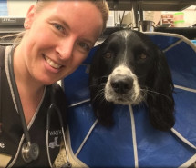 Bachelor of Veterinary Nursing Student with dog
