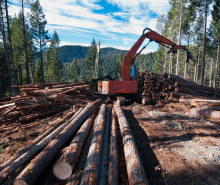 stacking sticks Oregon Department of Forestry CC BY 2.0