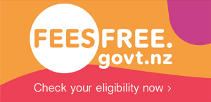 Button for visting the feesfree.govt.nz website